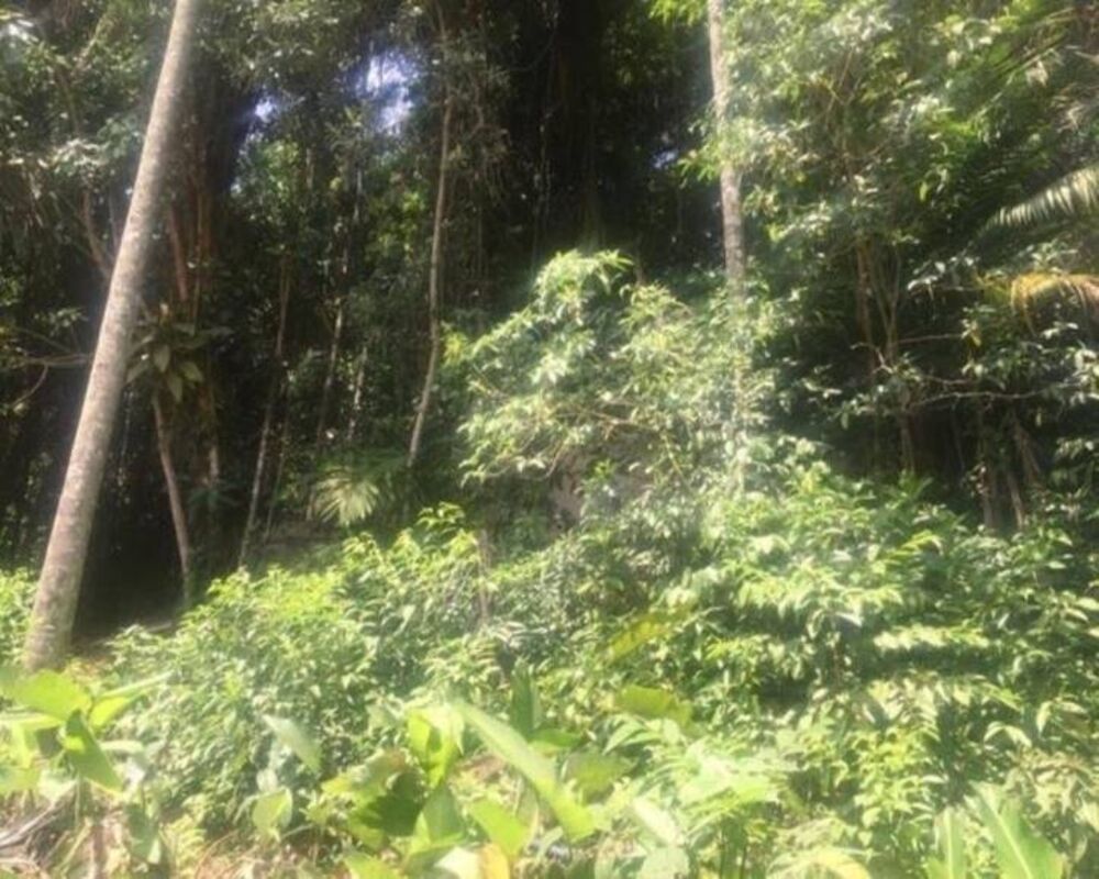 Terreno, 628 m² - Foto 6