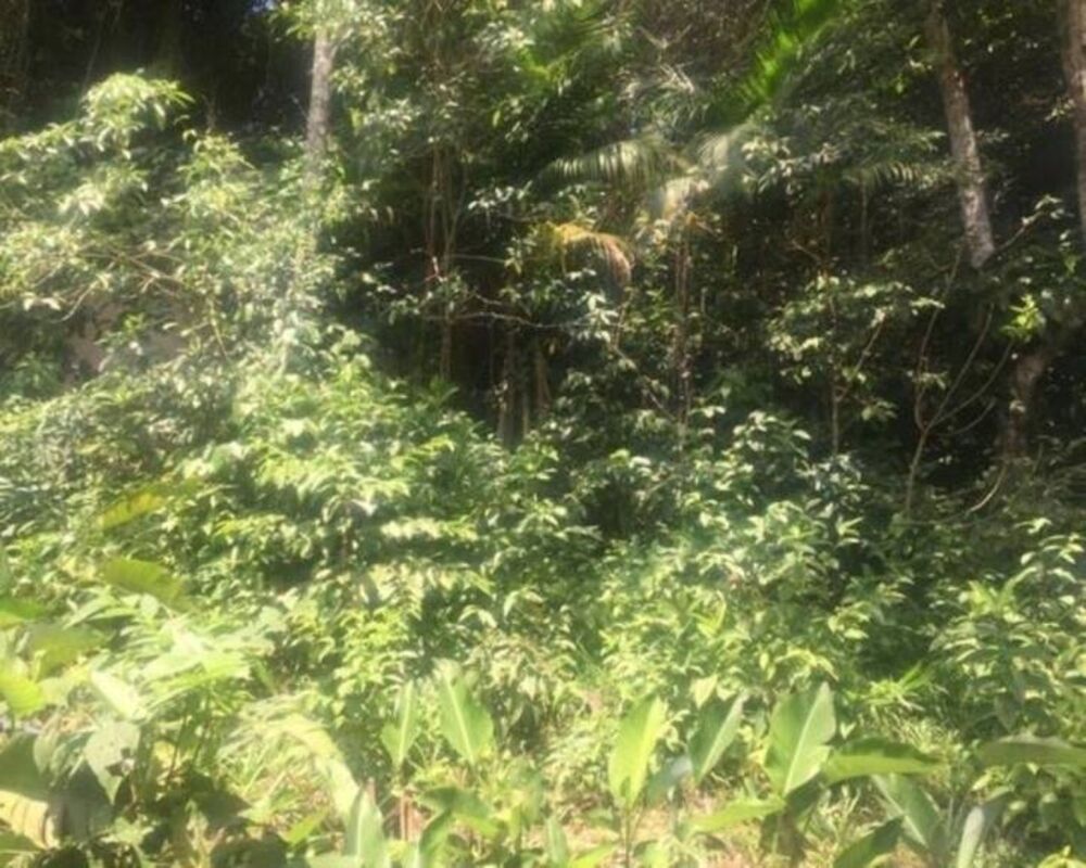 Terreno, 628 m² - Foto 8