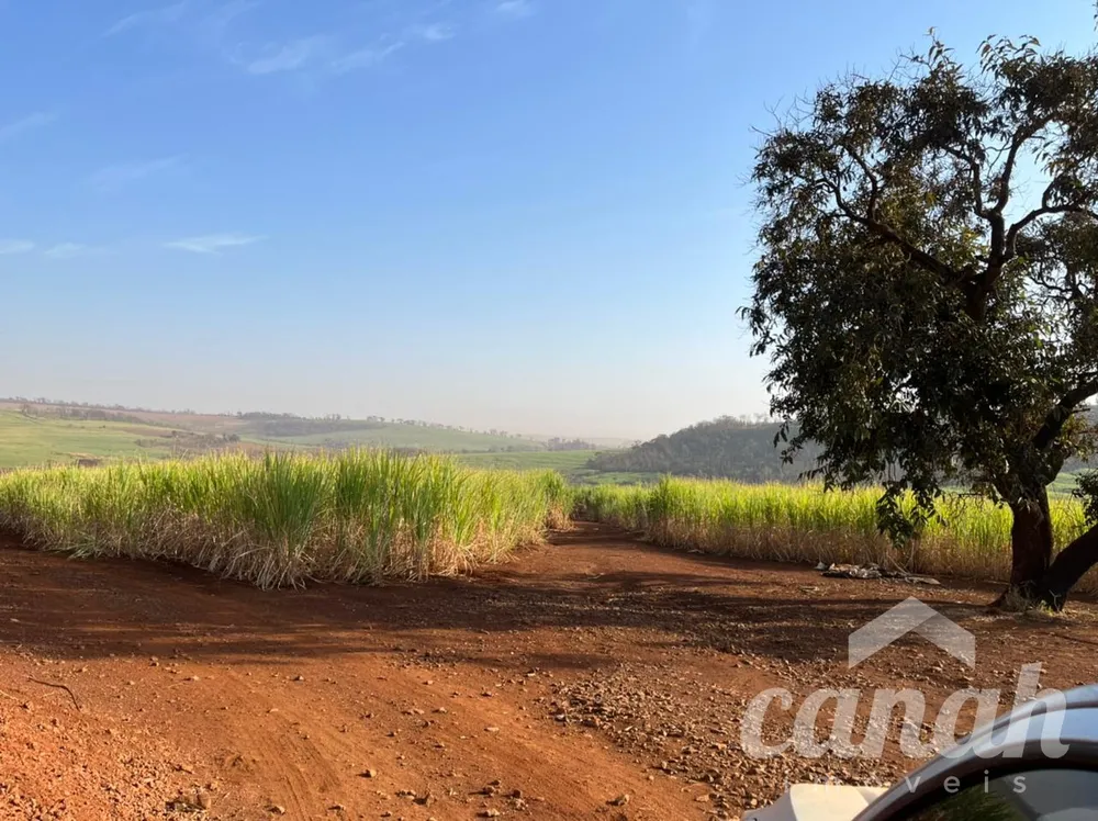 Fazenda, 110 m² - Foto 4