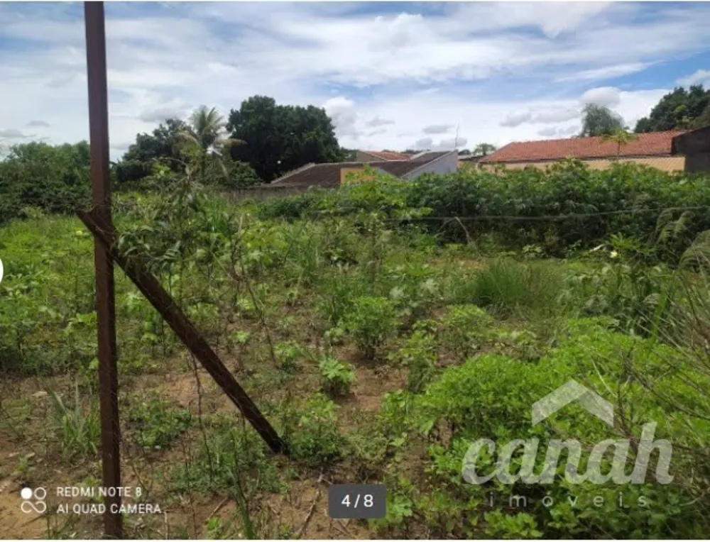 Chácara, 2 quartos, 6094 m² - Foto 4