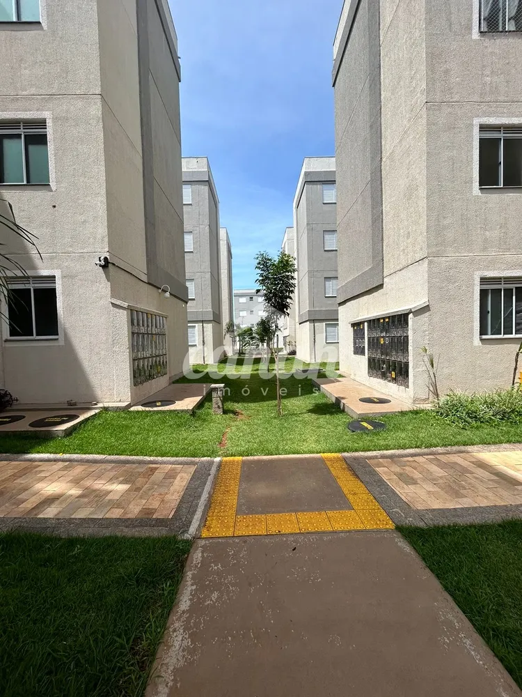 Apartamento, 2 quartos, 45 m² - Foto 2