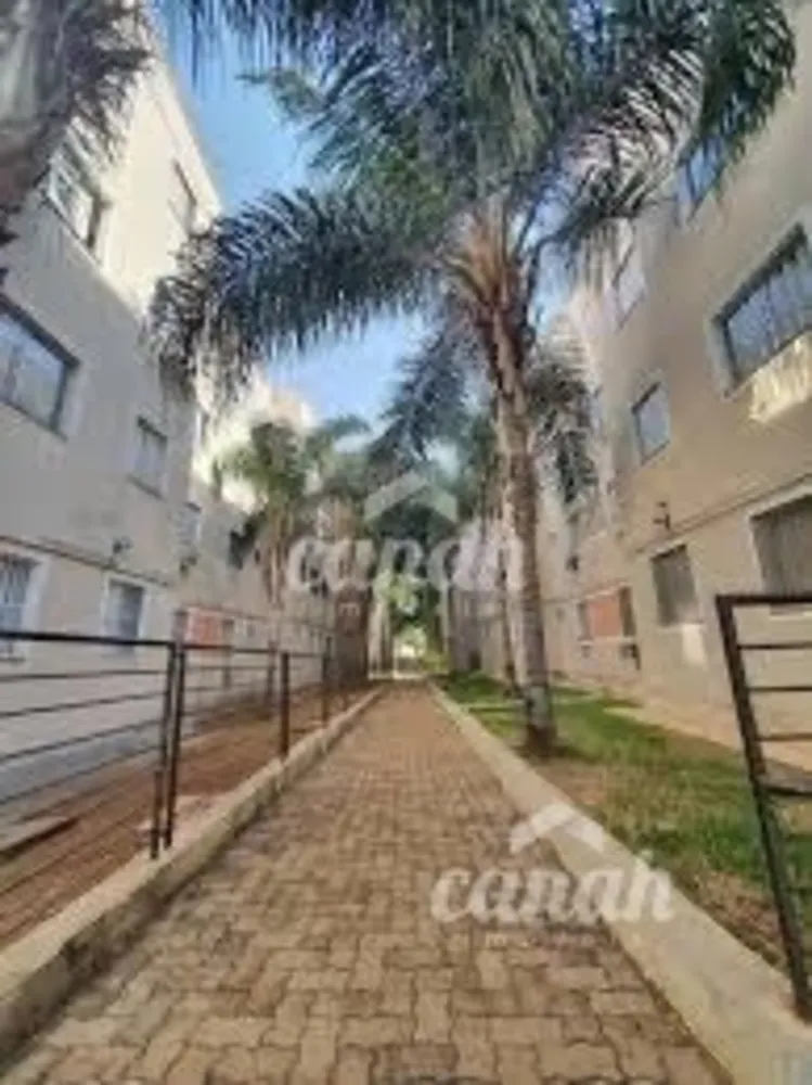 Apartamento, 2 quartos, 46 m² - Foto 3