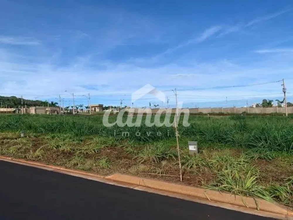 Terreno, 250 m² - Foto 1