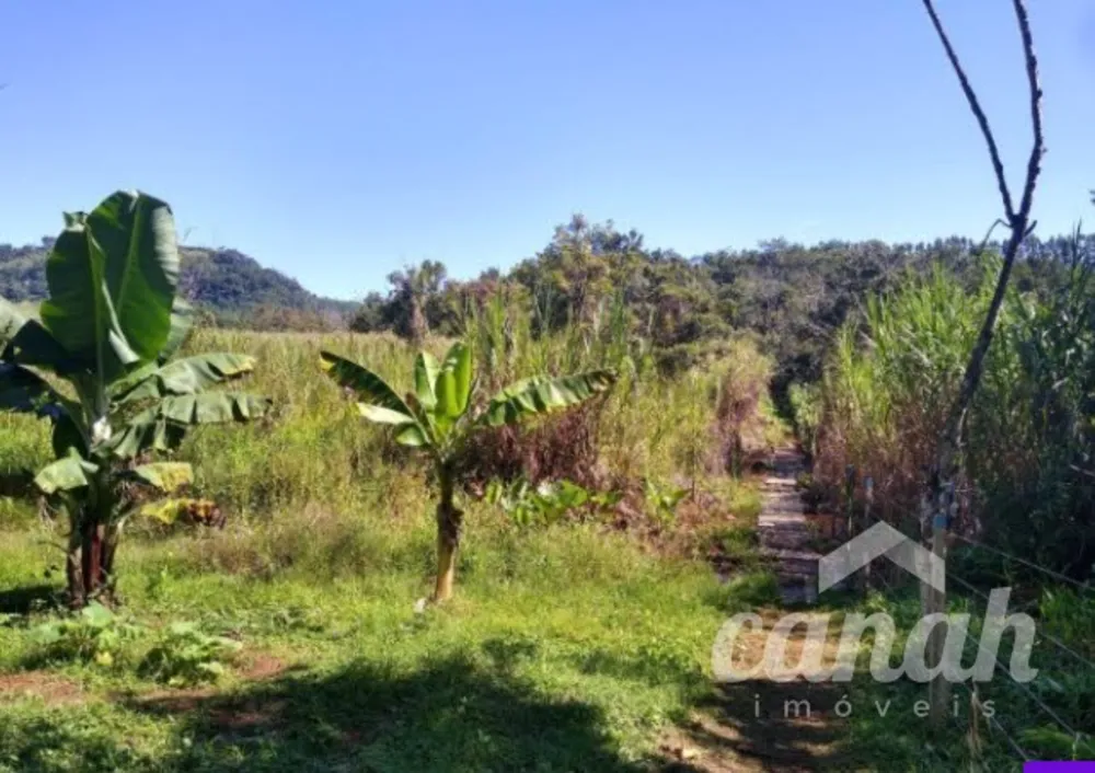 Sítio, 2 quartos, 2 hectares - Foto 3