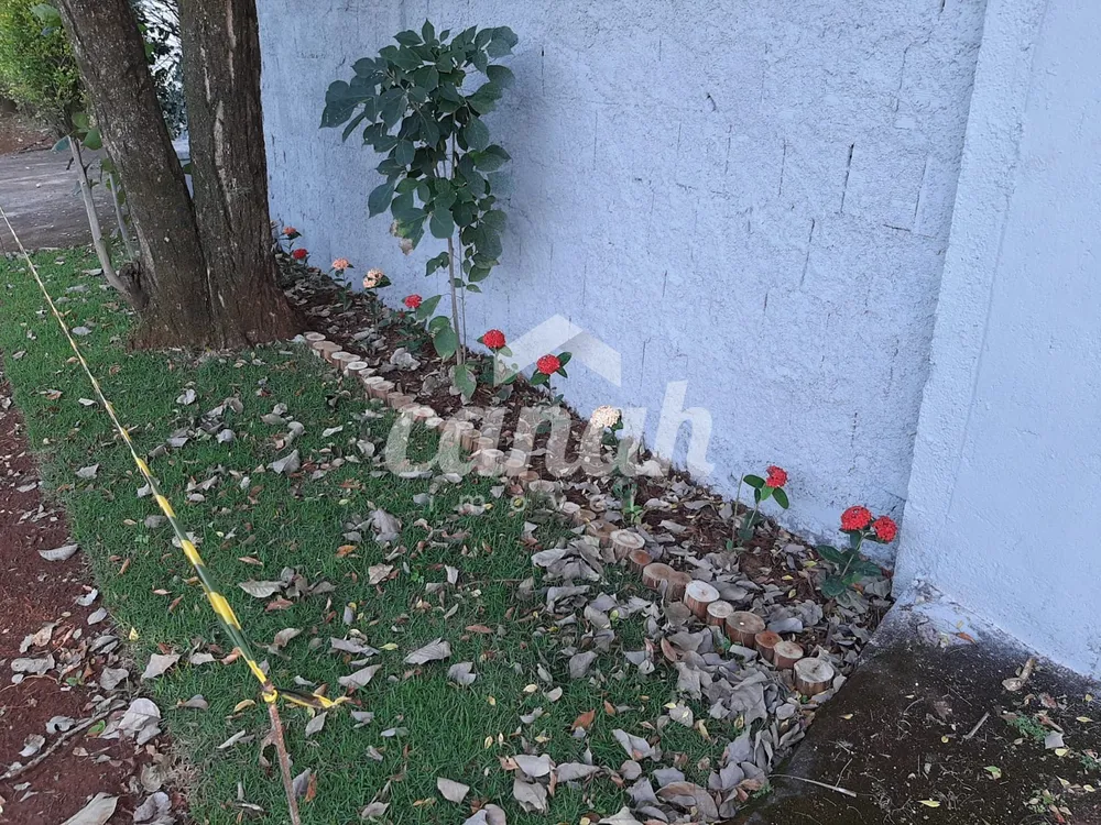 Chácara, 4 quartos - Foto 2