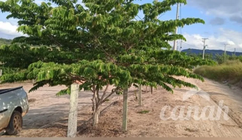 Chácara, 5 quartos, 1 hectares - Foto 3