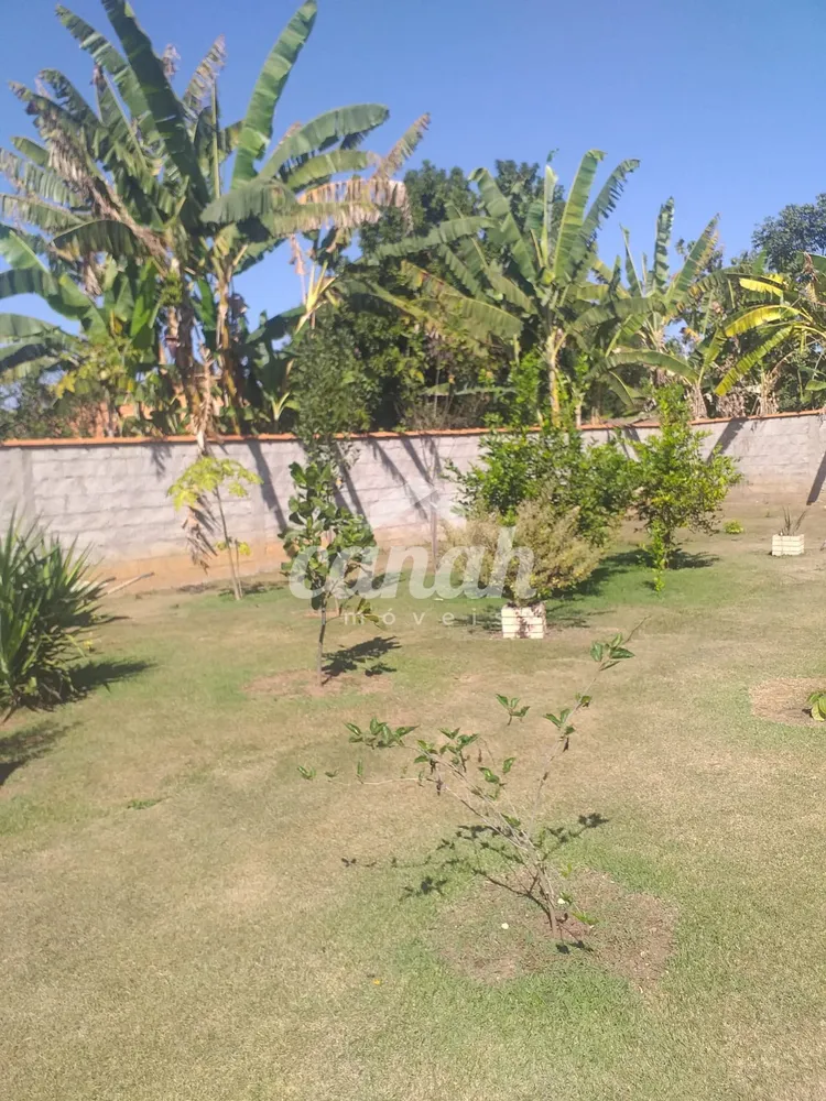 Chácara, 3 quartos, 1000 m² - Foto 4