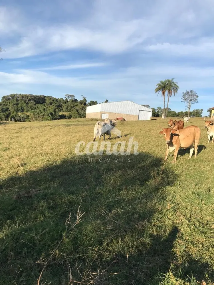 Sítio, 9 quartos, 3000 m² - Foto 1