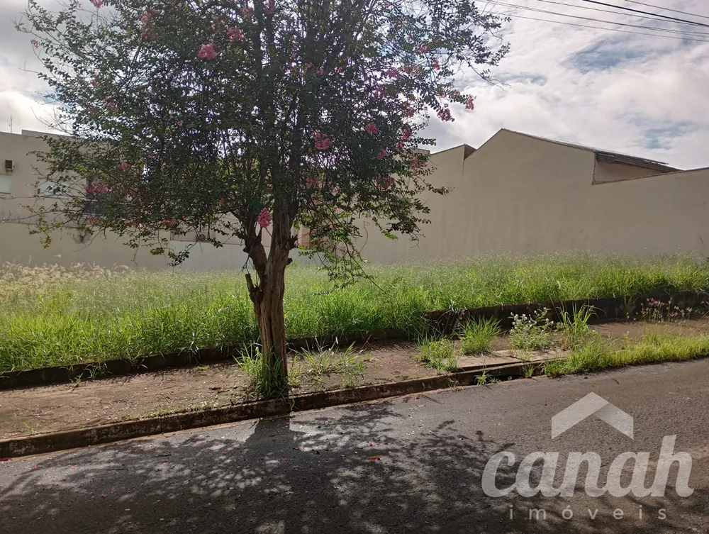 Terreno, 250 m² - Foto 1