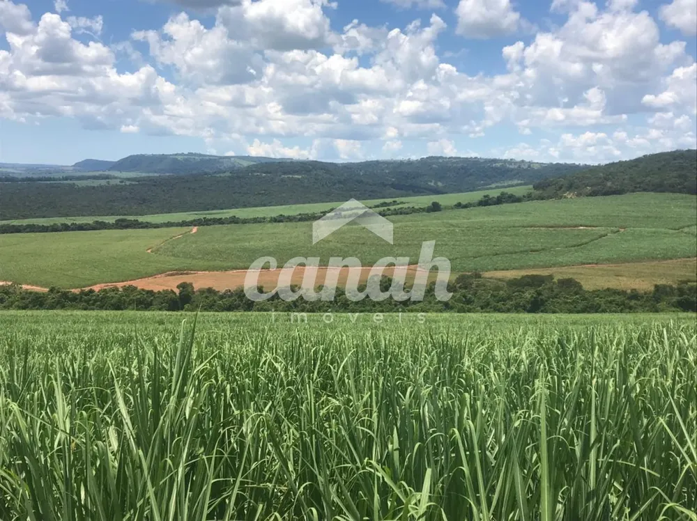 Fazenda, 175 m² - Foto 2