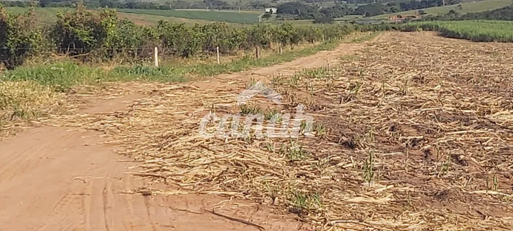 Fazenda, 119 m² - Foto 4