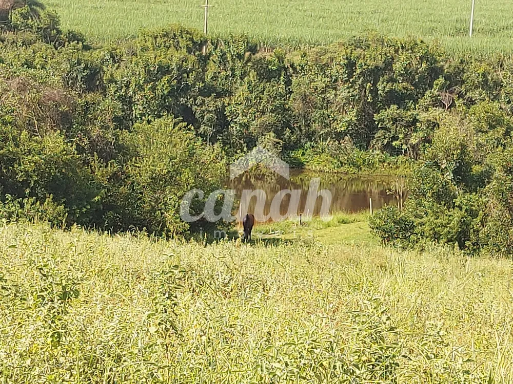Fazenda, 500 m² - Foto 3