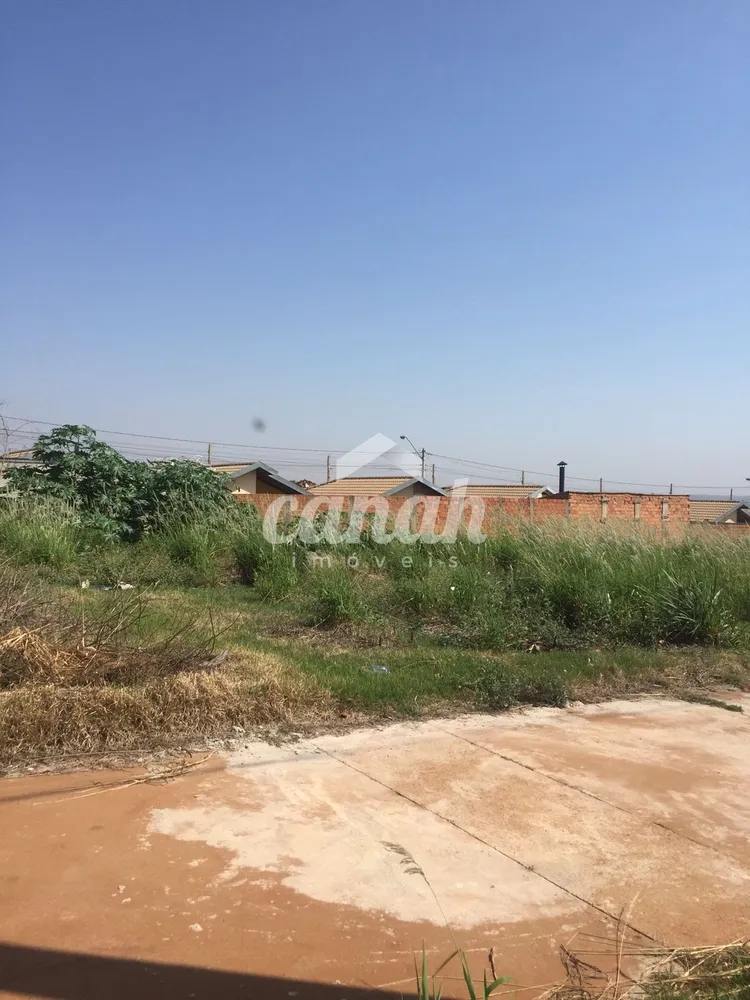 Terreno, 356 m² - Foto 3