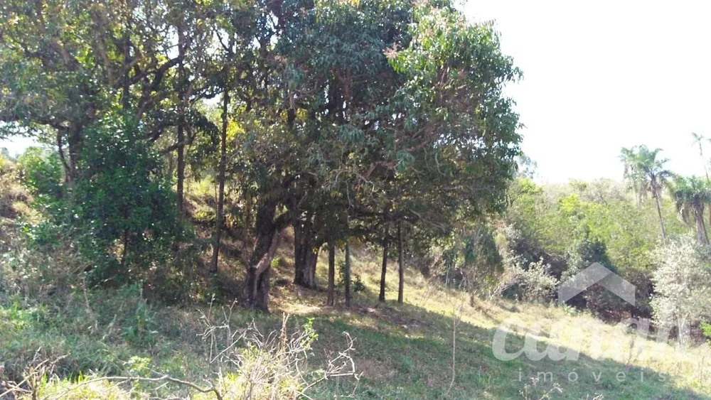 Chácara, 3 quartos, 10000 m² - Foto 3