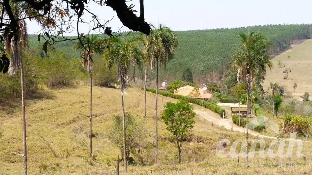 Chácara, 3 quartos, 10000 m² - Foto 4