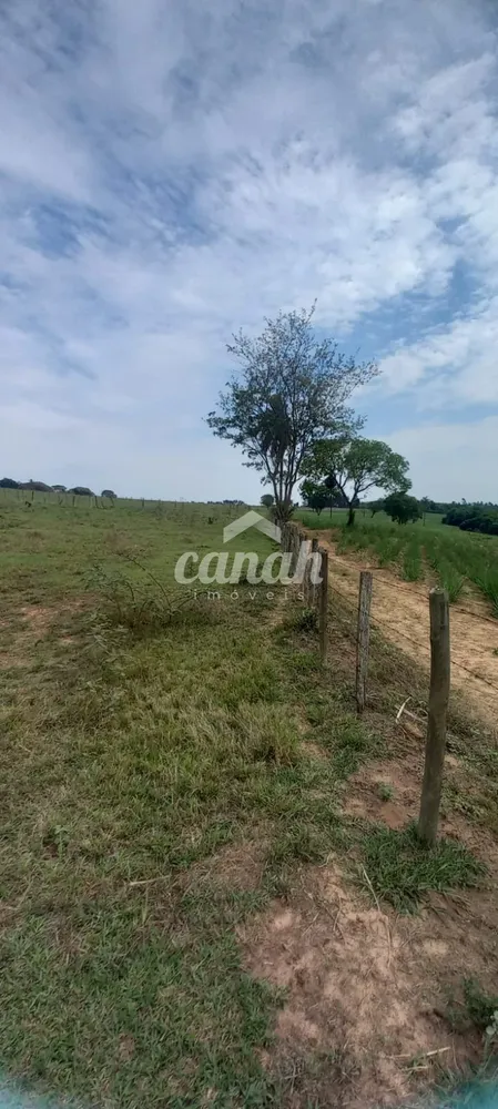 Fazenda, 15 m² - Foto 3