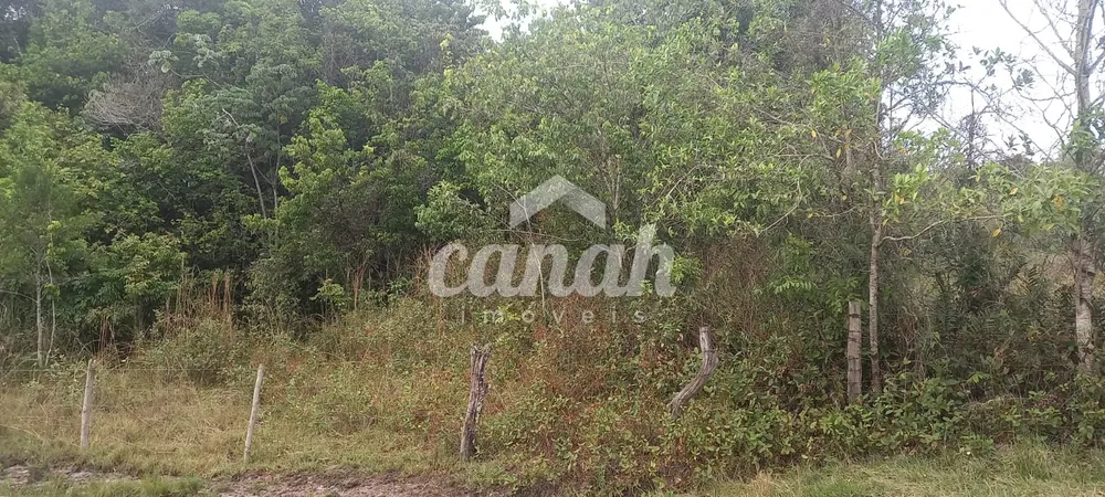 Fazenda, 15 m² - Foto 4