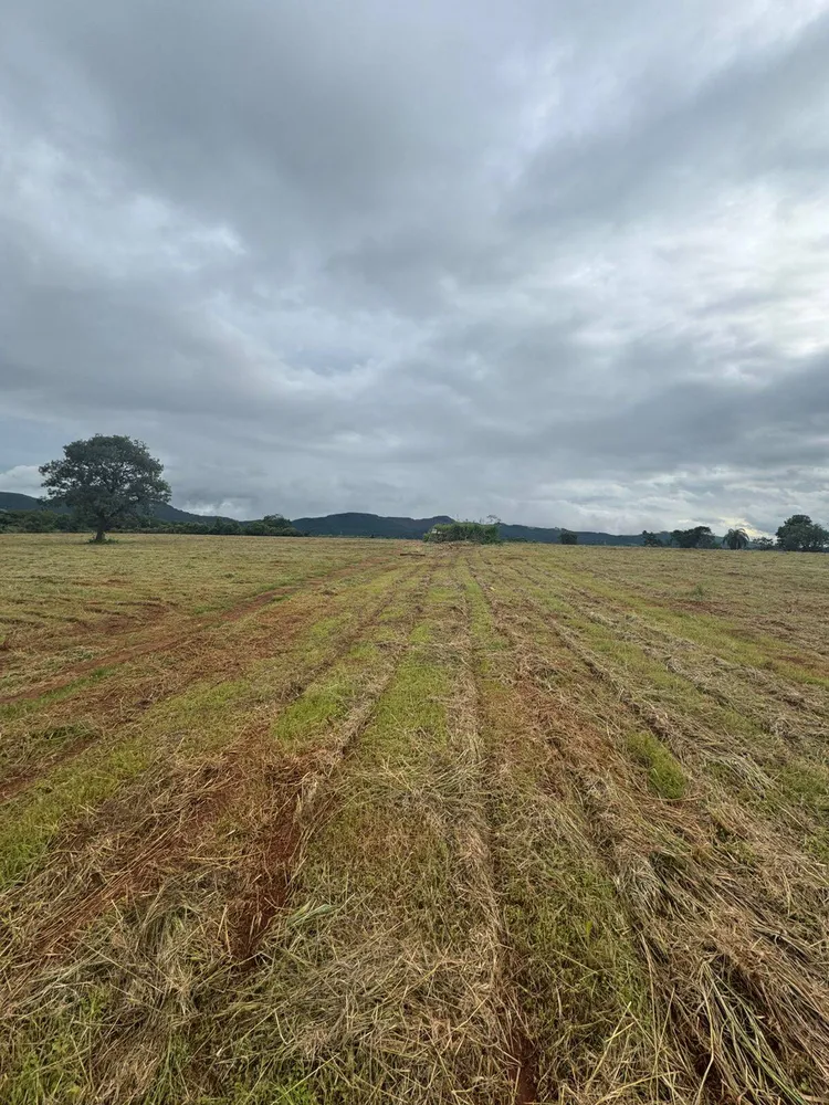 Terreno, 900 m² - Foto 6