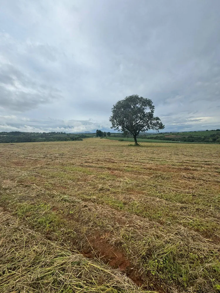 Terreno, 900 m² - Foto 5