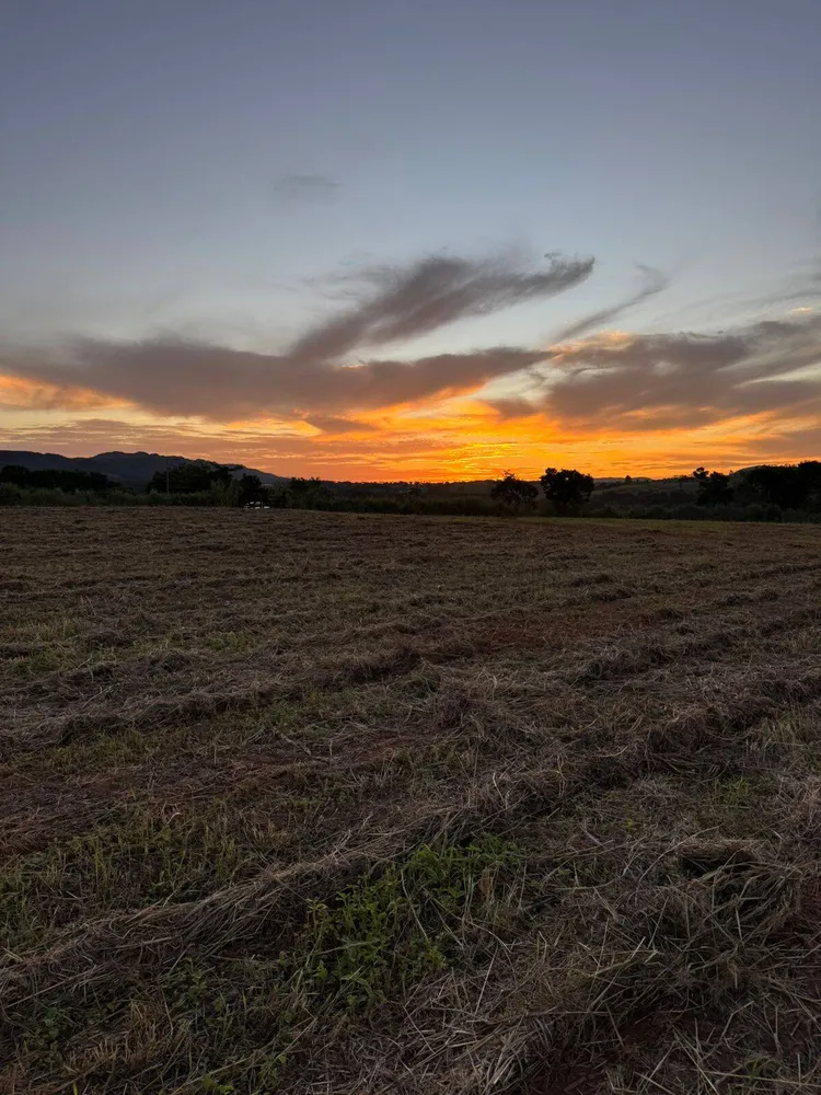 Terreno, 900 m² - Foto 1