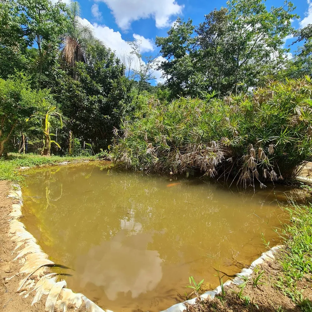 Chácara, 2 quartos, 1515 m² - Foto 10