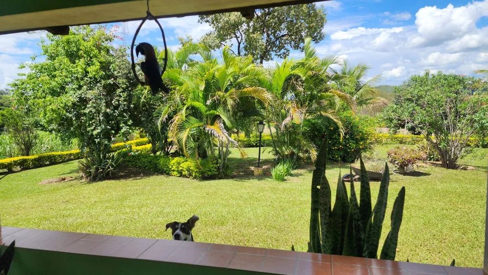 Sítio, 4 quartos, 11 m² - Foto 8