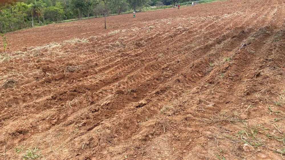 Terreno, 4 hectares - Foto 6