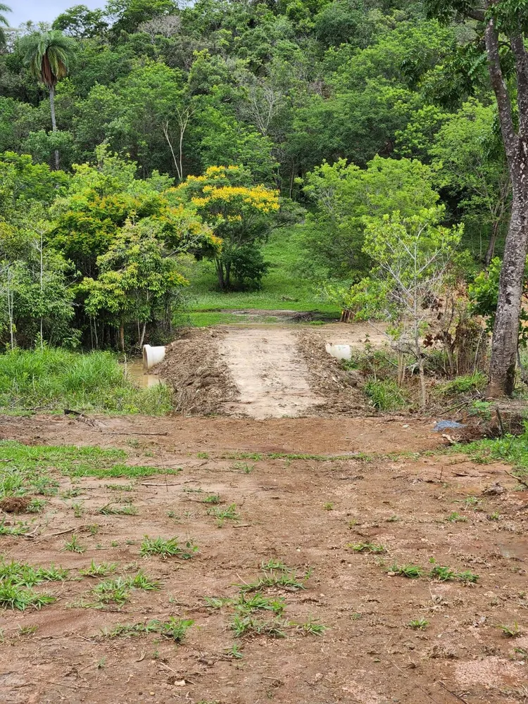 Terreno, 4 hectares - Foto 9