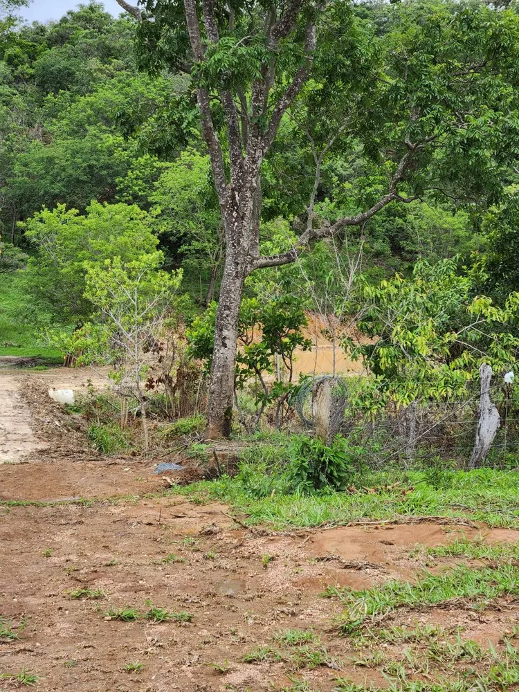 Terreno, 4 hectares - Foto 8