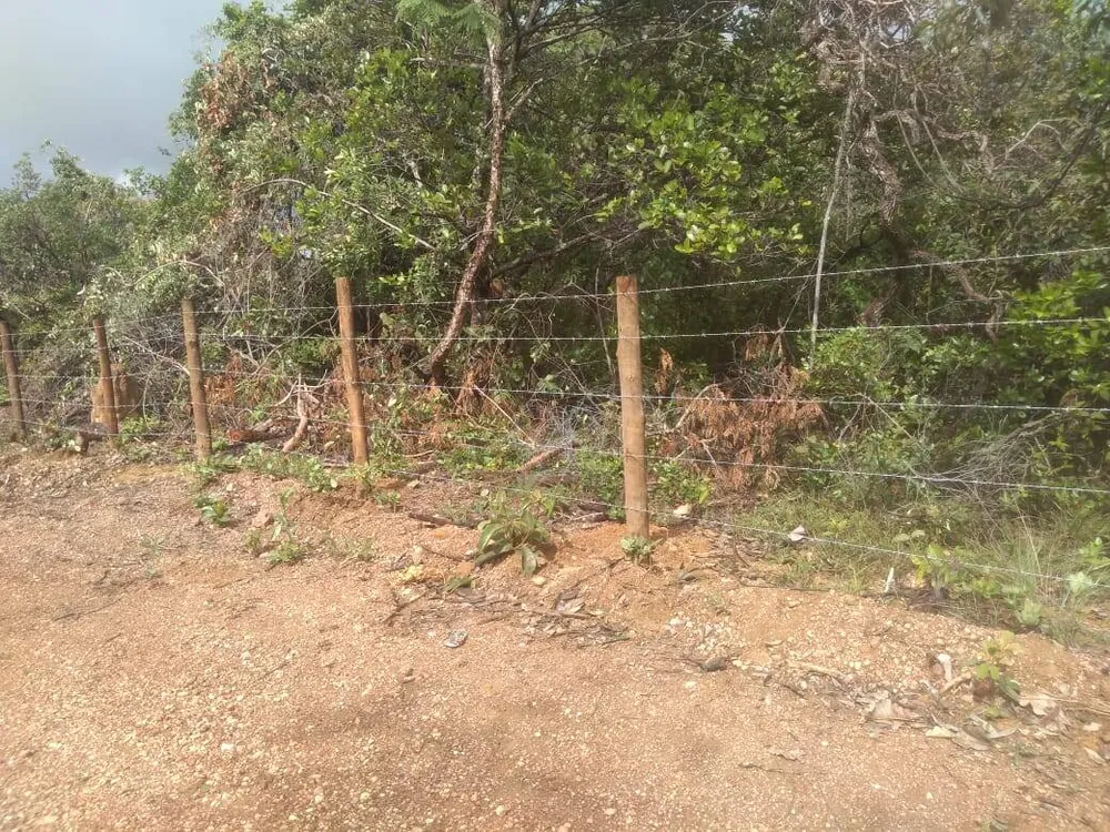 Terreno, 4 hectares - Foto 7
