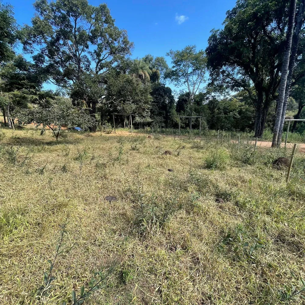 Terreno, 2 hectares - Foto 1