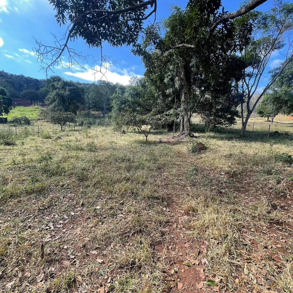 Terreno, 2 hectares - Foto 2