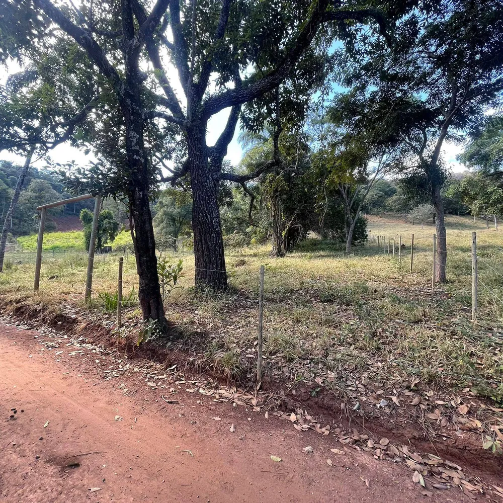 Terreno, 2 hectares - Foto 2