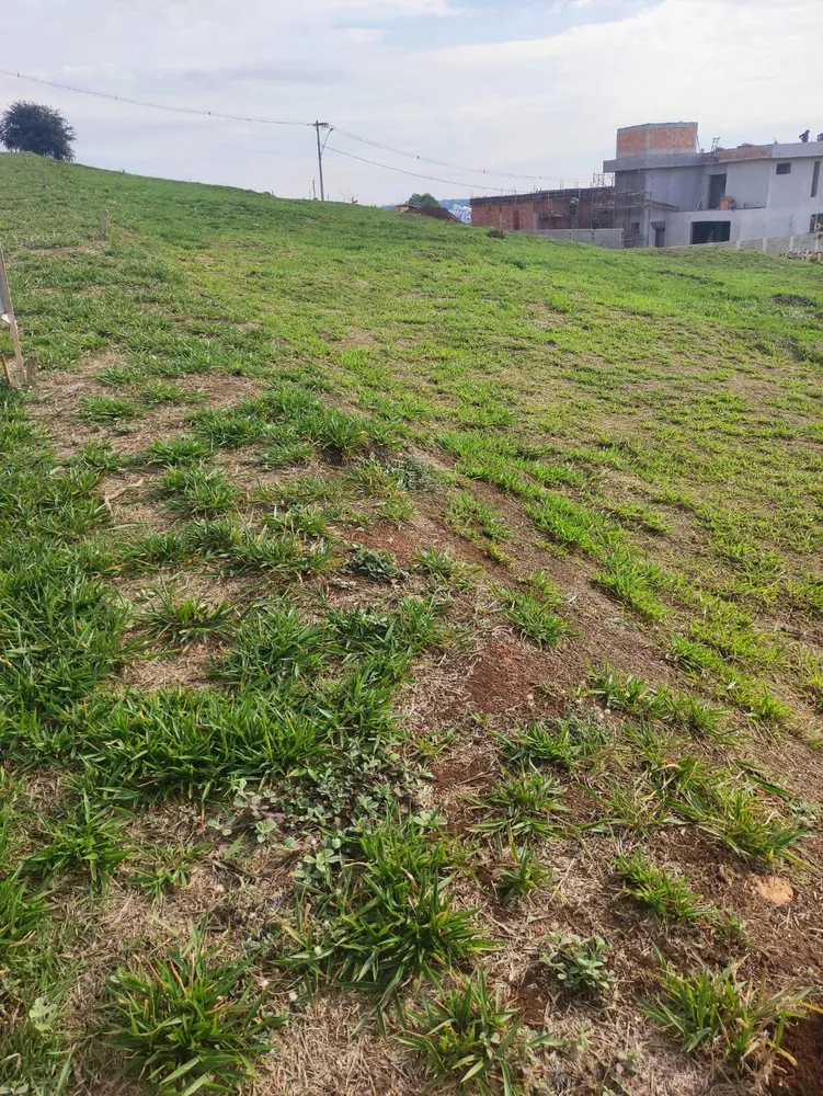 Terreno, 405 m² - Foto 8