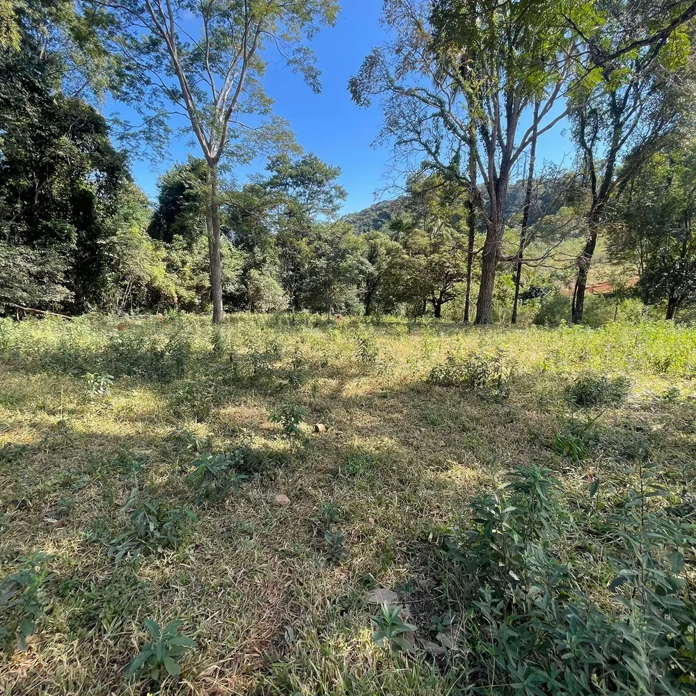 Terreno, 3700 m² - Foto 4