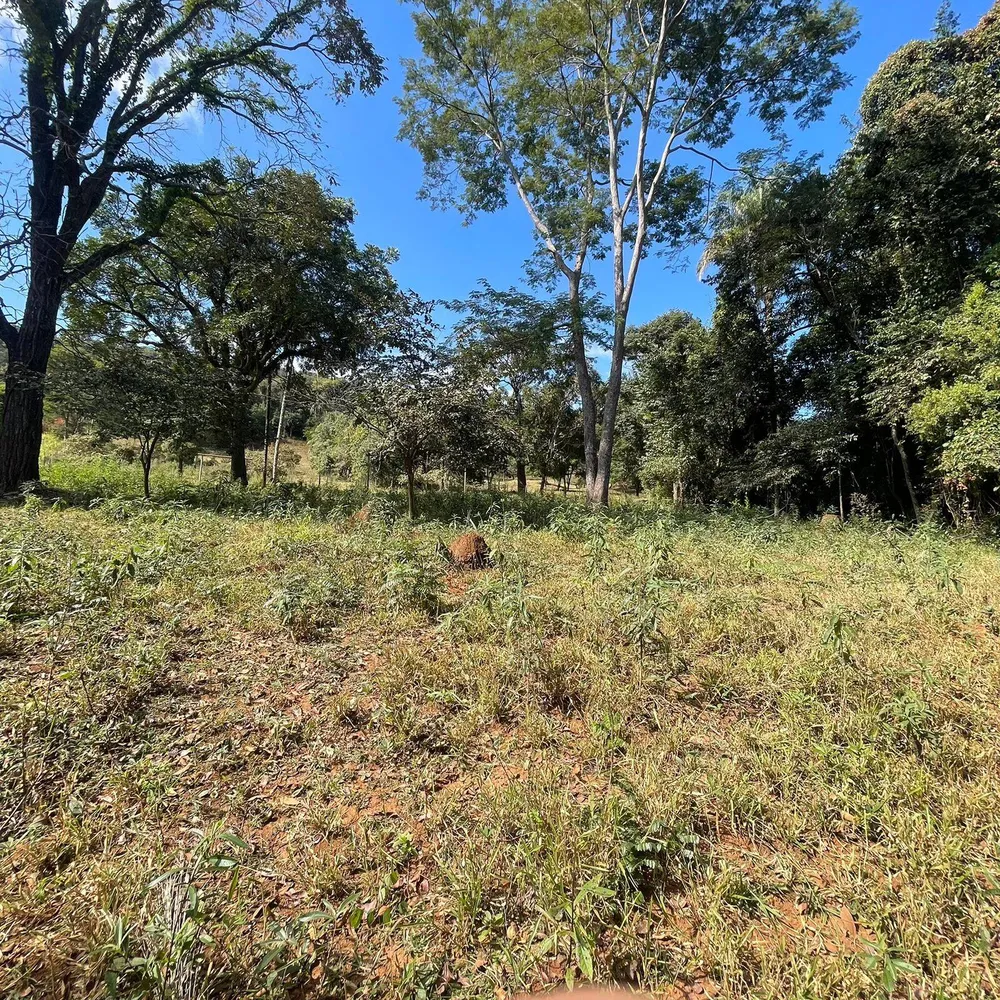 Terreno, 3700 m² - Foto 2