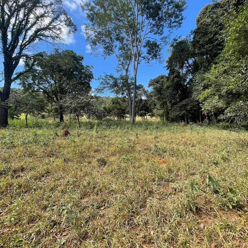 Terreno, 3700 m² - Foto 2