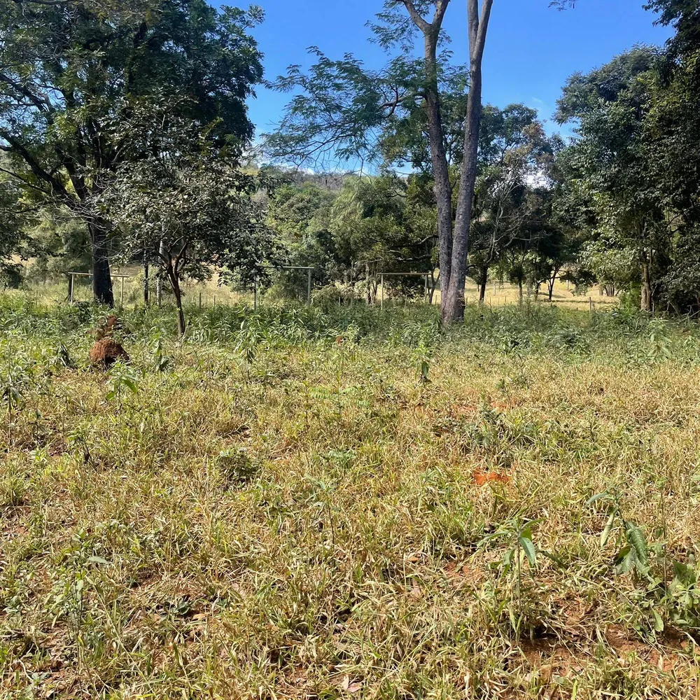 Terreno, 3700 m² - Foto 3