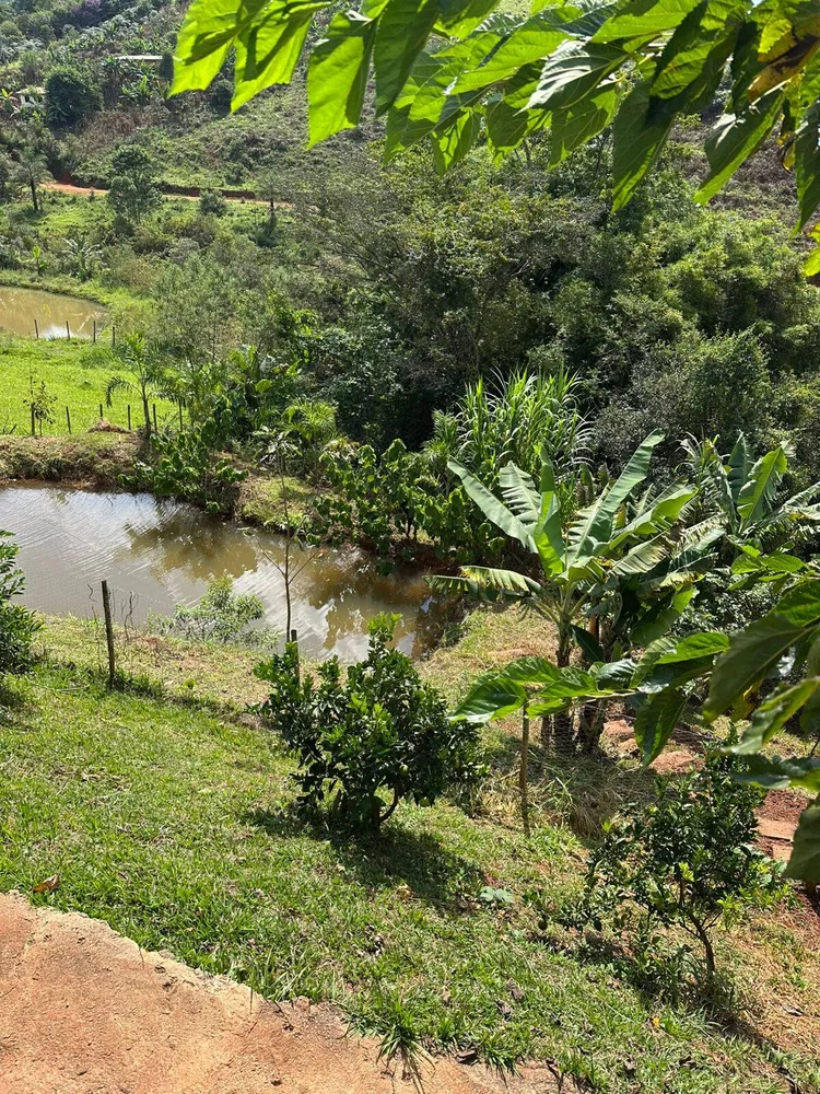Sítio, 3 quartos, 8000 m² - Foto 2