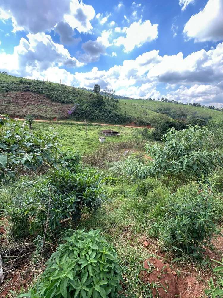 Sítio, 3 quartos, 8000 m² - Foto 3