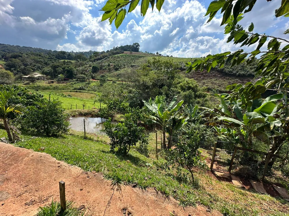 Sítio, 3 quartos, 8000 m² - Foto 1