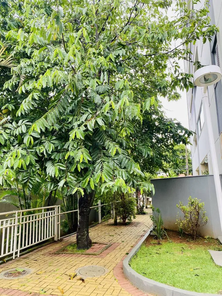 Apartamento, 3 quartos, 100 m² - Foto 2