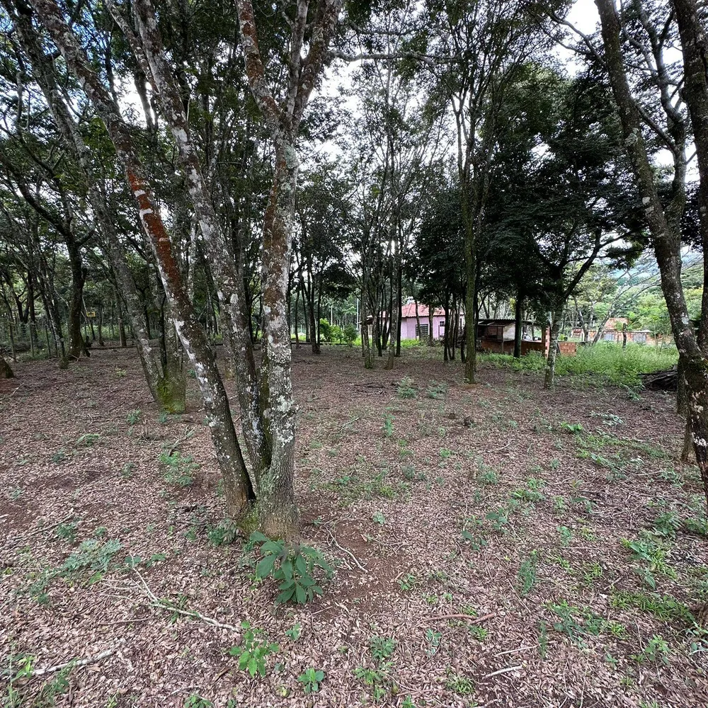 Chácara, 2 quartos, 1600 m² - Foto 6