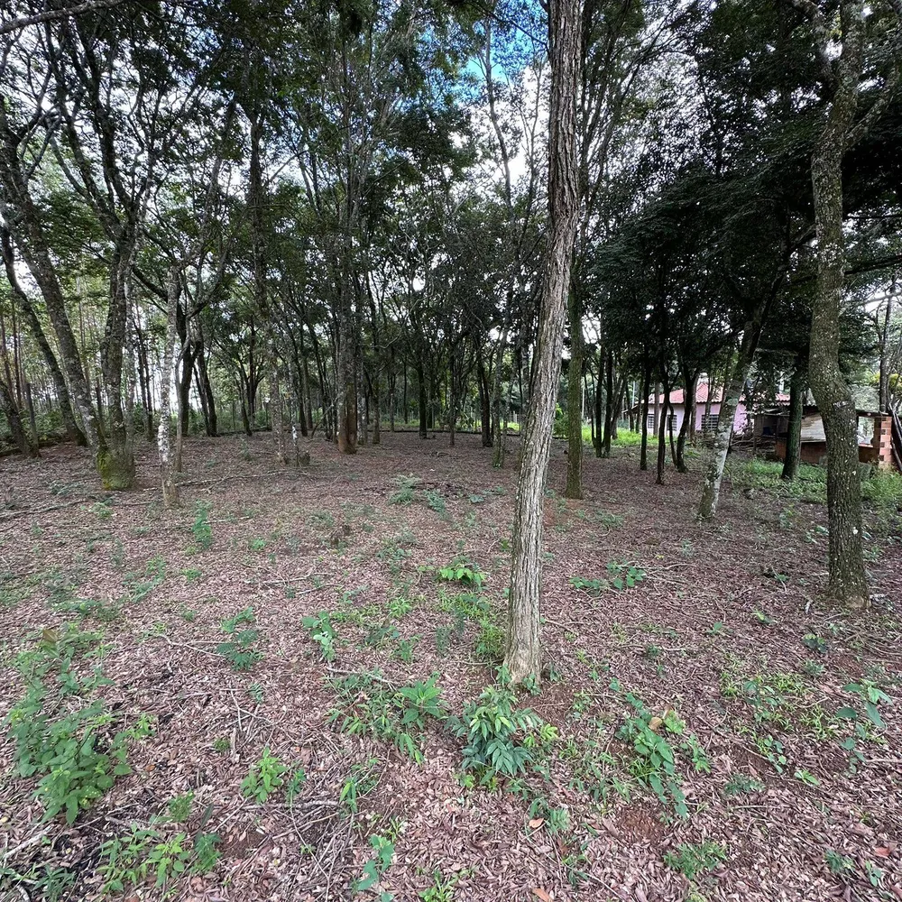 Chácara, 2 quartos, 1600 m² - Foto 9