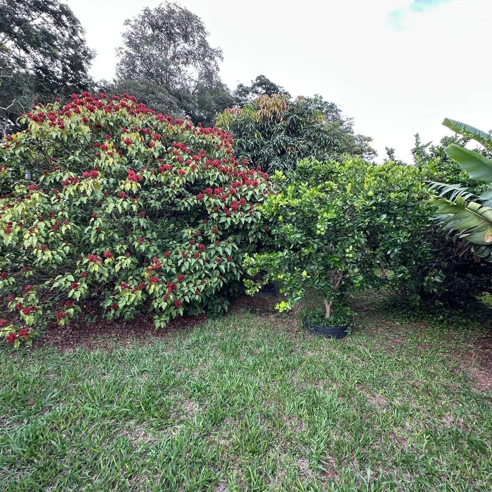 Chácara, 2 quartos, 1600 m² - Foto 2