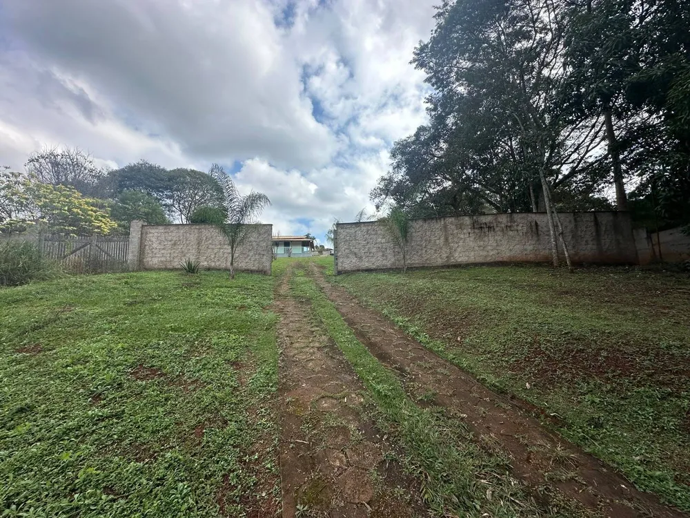 Sítio, 4 quartos, 4000 m² - Foto 8