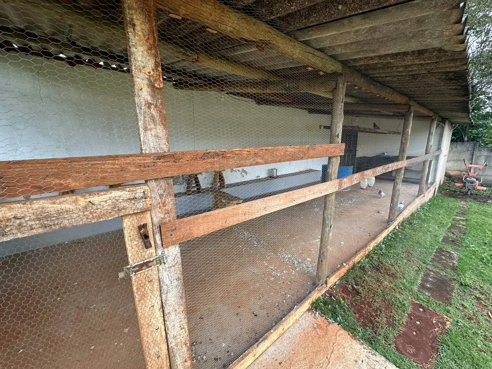 Sítio, 4 quartos, 4000 m² - Foto 3