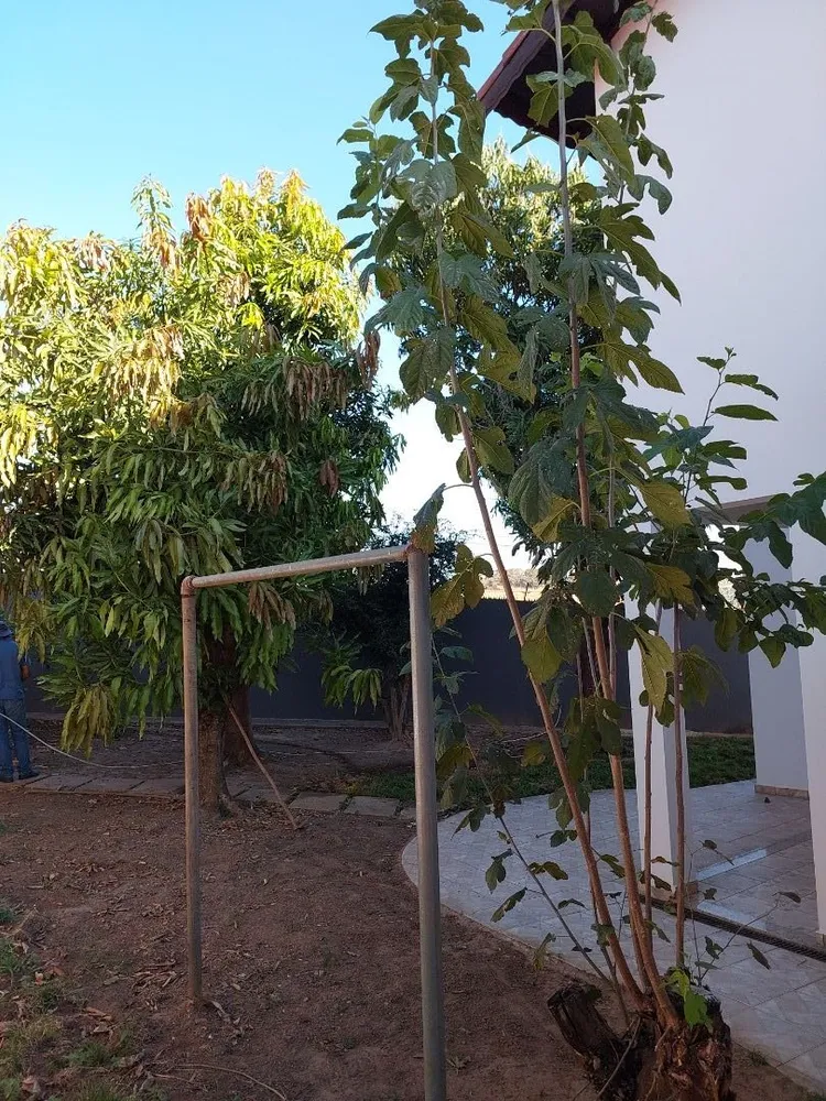 Sobrado, 3 quartos, 300 m² - Foto 13