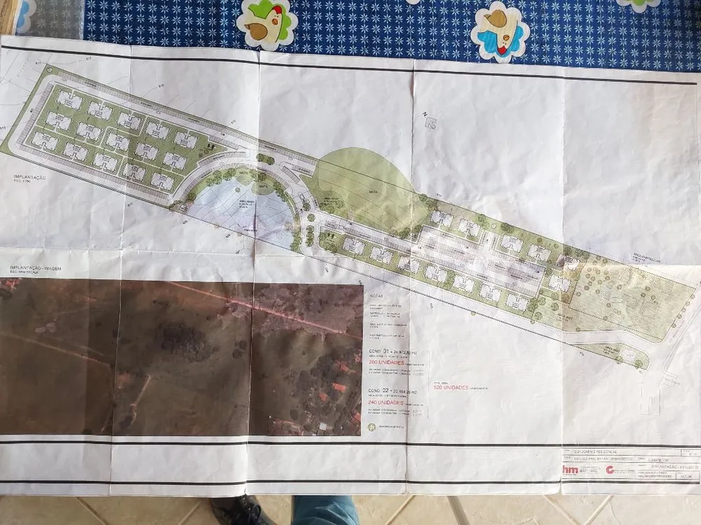 Terreno, 5 hectares - Foto 8