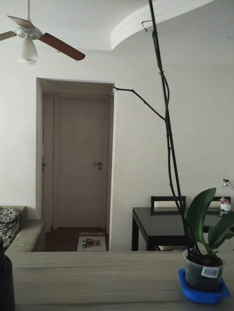 Apartamento, 2 quartos, 48 m² - Foto 5